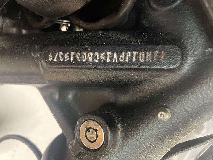 rarely ridden blackline