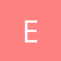 Evans Brasfield